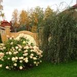 Посадка растений.