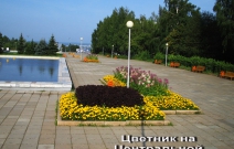 Цветники на Центральной площади (2009).